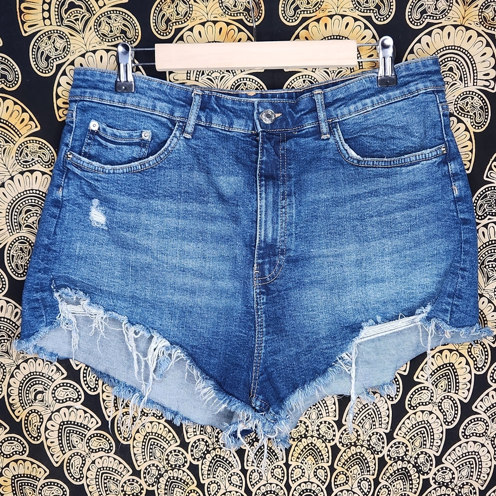 Zara High Rise Cheeky